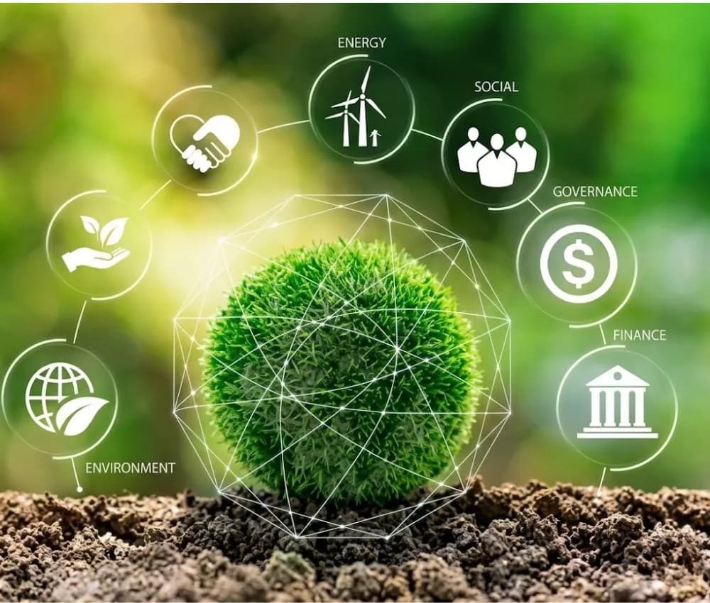 Environmental Impact Assessment