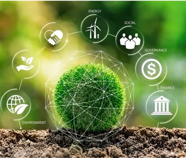 Environmental Impact Assessment