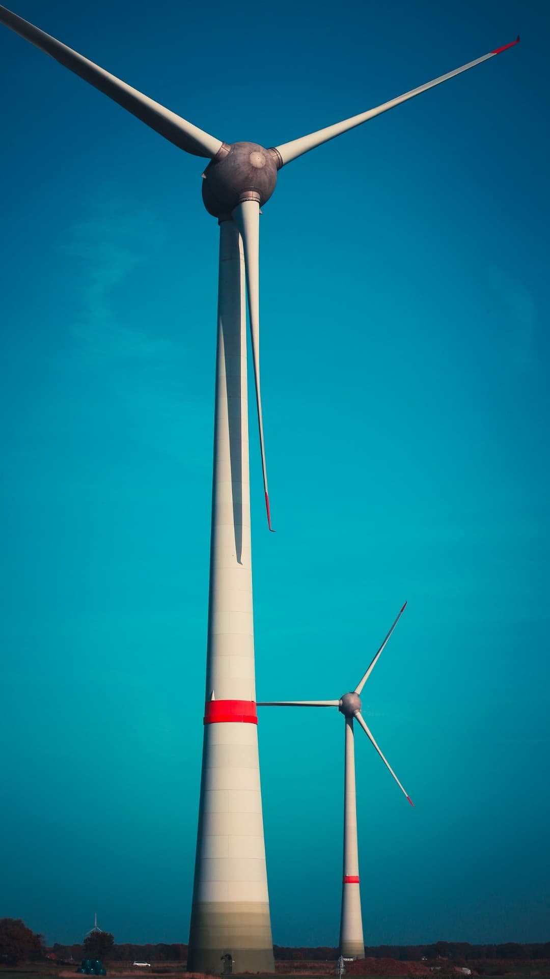 Energy Efficiency and Carbon Neutrality Services