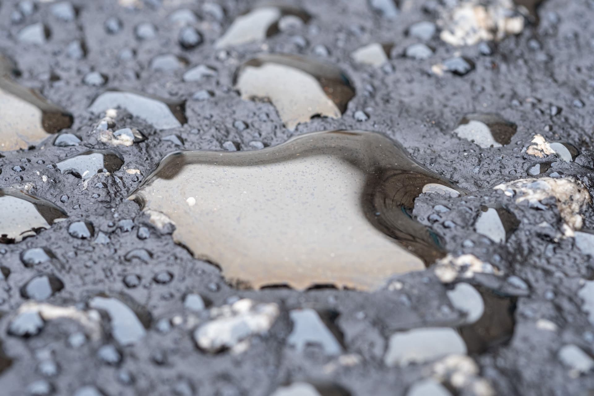 Environmental Auditing and Environmental Permit to Operate (EPO)