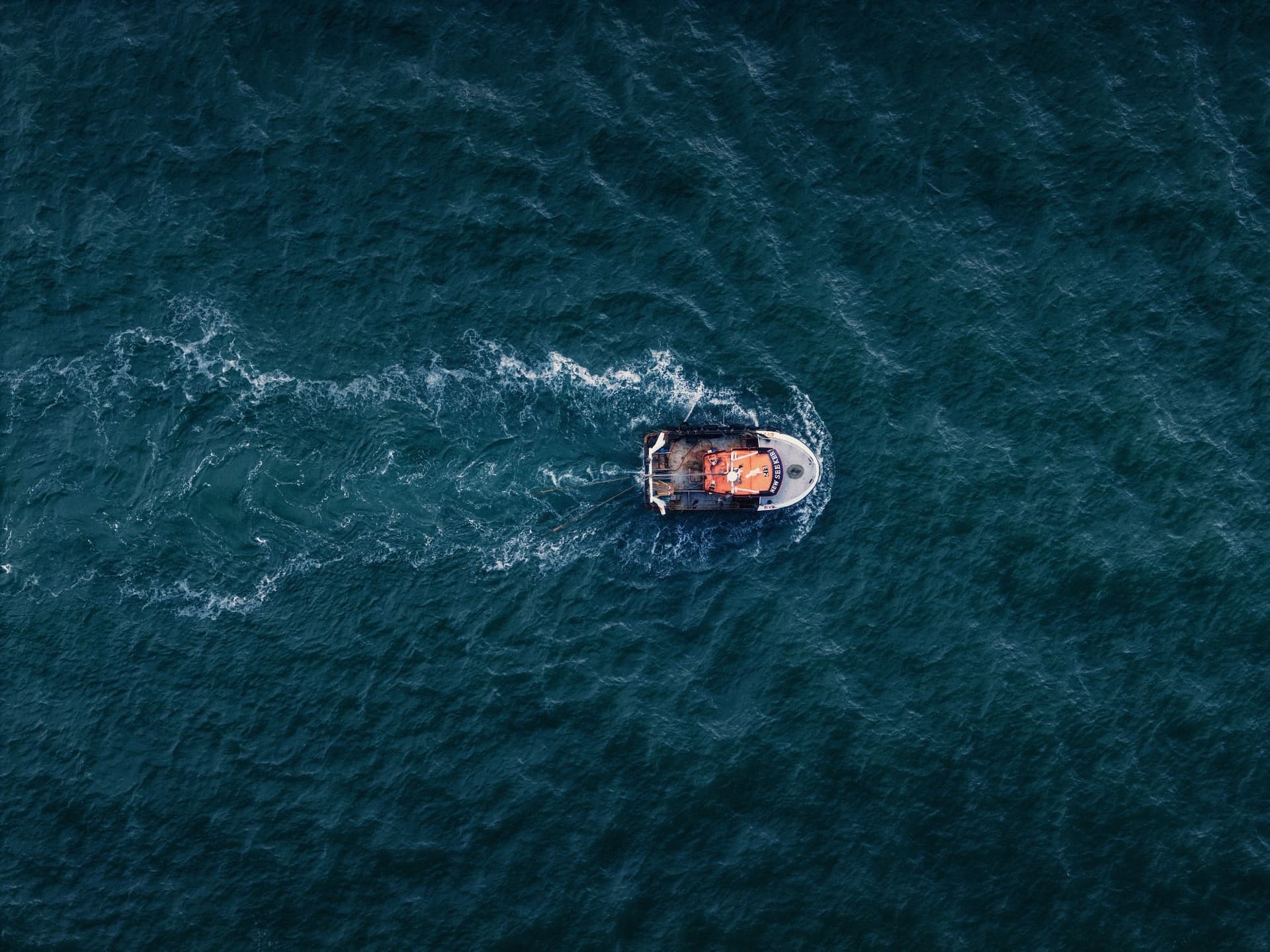 Marine Surveys and Modelling Studies