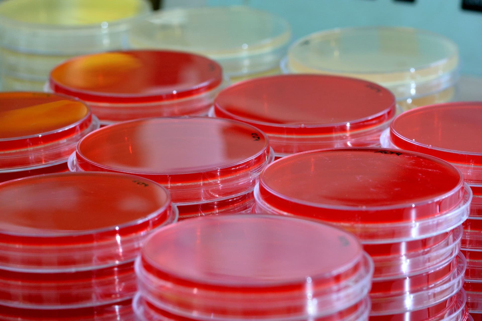 Microbiological Testing