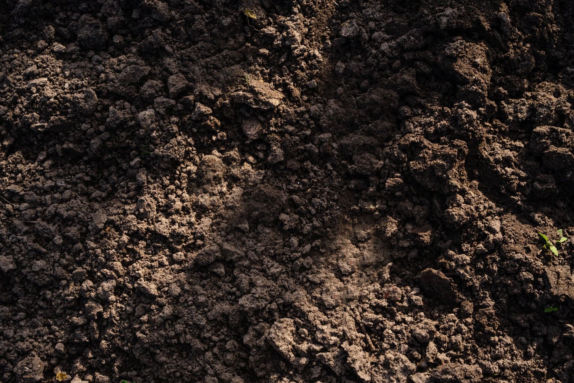 Soil Testing and Analysis